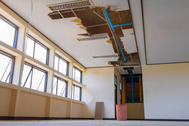 Best Water damage restoration services  in Winters, CA