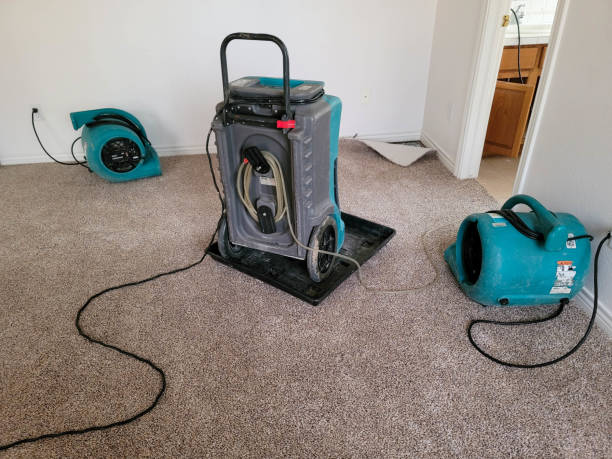 Best Water damage restoration process  in Winters, CA