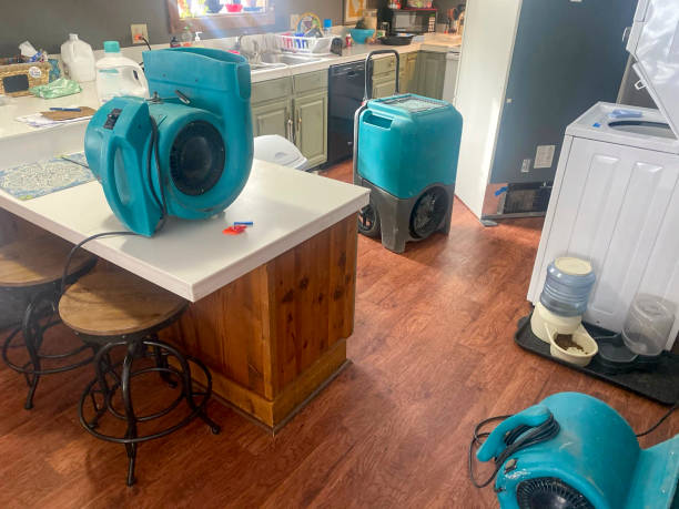 Best Carpet water damage restoration  in Winters, CA