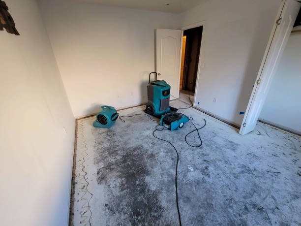  Winters, CA Water damage restoration Pros