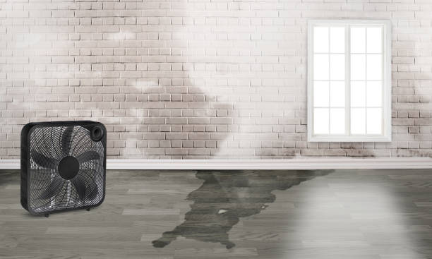 Best Emergency water damage restoration  in Winters, CA
