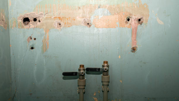 Best Water damage contractors near me  in Winters, CA