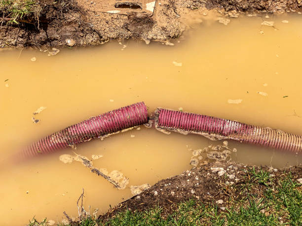 Best Water damage cleanup near me  in Winters, CA