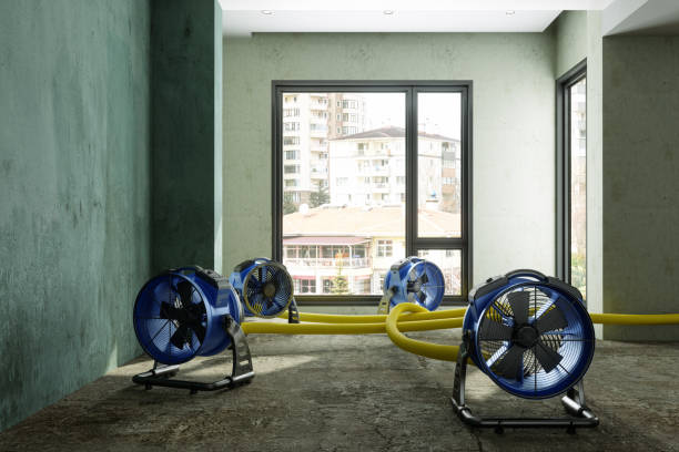 Best Water damage restoration company  in Winters, CA