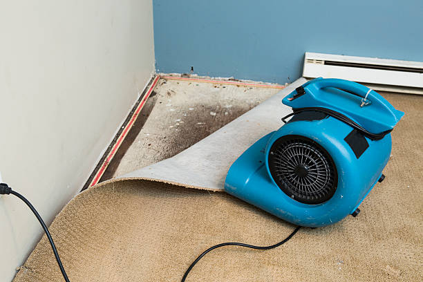 Fire Damage Restoration in Winters, CA